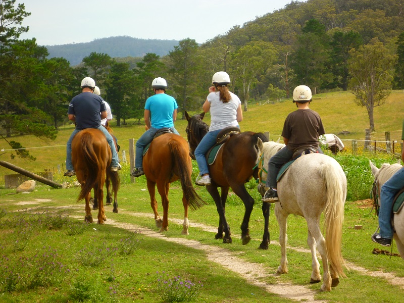 attraction-The Happy Ranch Horse Farm - Family Trips.jpg